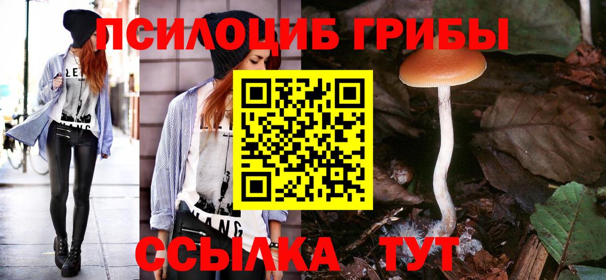 купить наркотики цена  Галлюциногенные грибы Magic Shrooms  Вход с VPN  Галлюциногенные грибы мухоморы  Волгодонск 