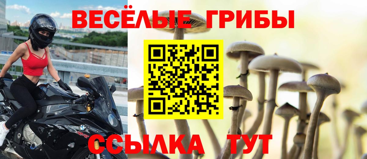 Галлюциногенные грибы мицелий Волгодонск